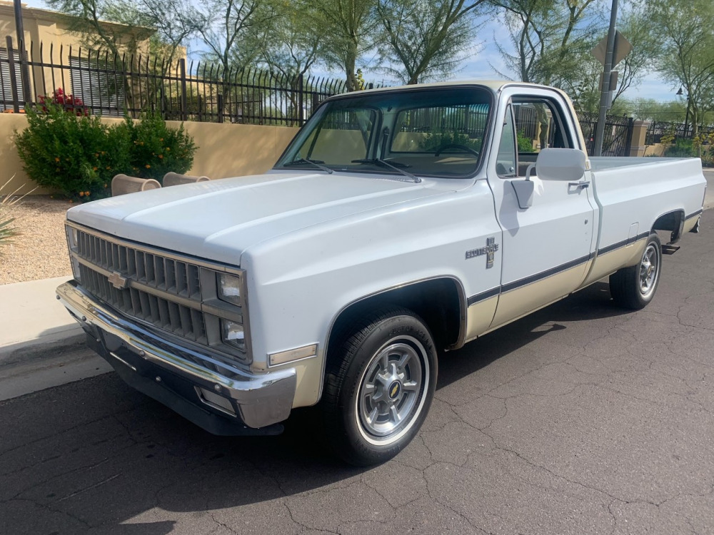 157 1981 Chevrolet C10 Pickup MAG Auctions