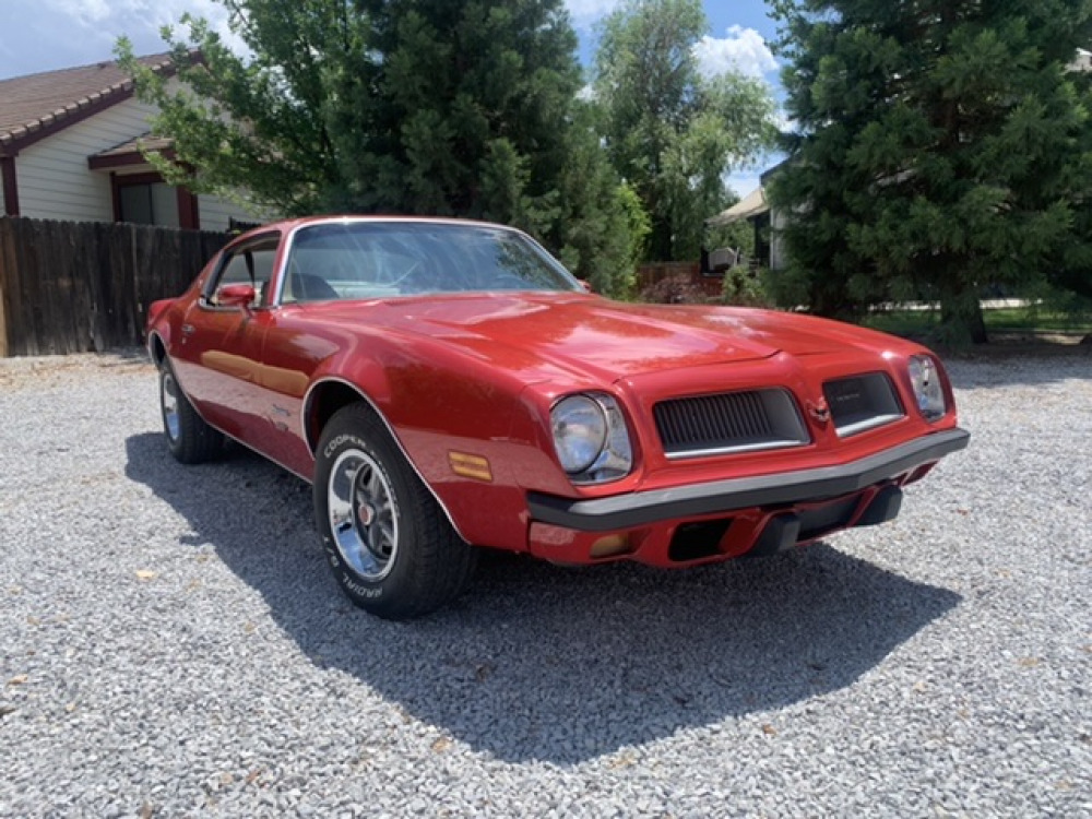 #585 - 1974 Pontiac Firebird Esprit | MAG Auctions