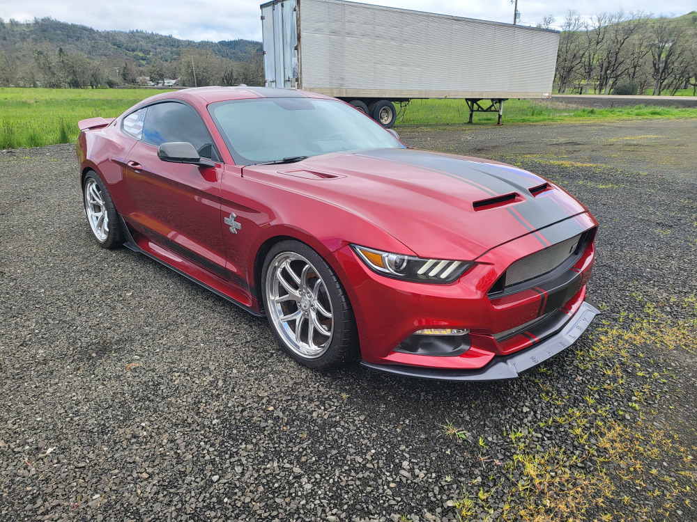 #398 - 2017 Ford Mustang Shelby Super Snake 50th Anniversary | MAG Auctions