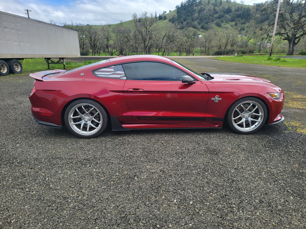 #398 - 2017 Ford Mustang Shelby Super Snake 50th Anniversary | MAG Auctions